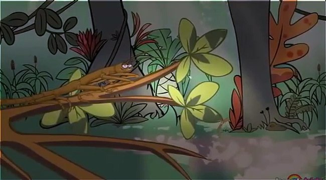 Cartoons For Children Funny Cartoons For Children Creepy Crawlies & Funny Insect Videos For Fun