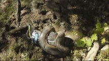 anaconda eats man alive discovery chanel ΑΝΑΚΟΝΤΑ ανακόντα