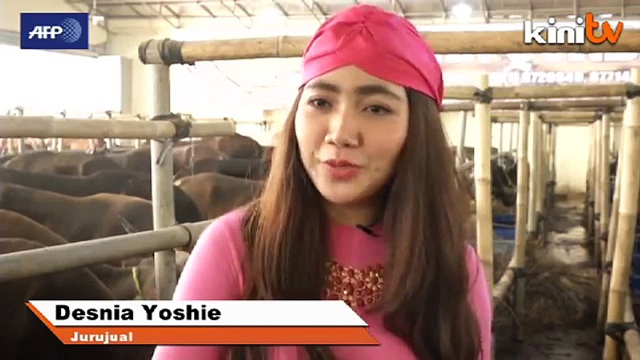 Indonesia korban ‘lembu mewah’ sempena Aidiladha