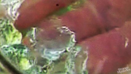 Top 10 MYSTERIOUS Phenomenon in Nature