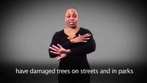Notify NYC American Sign Language (ASL) Message: Trees Damaged Due to Severe Weather; Report Damage