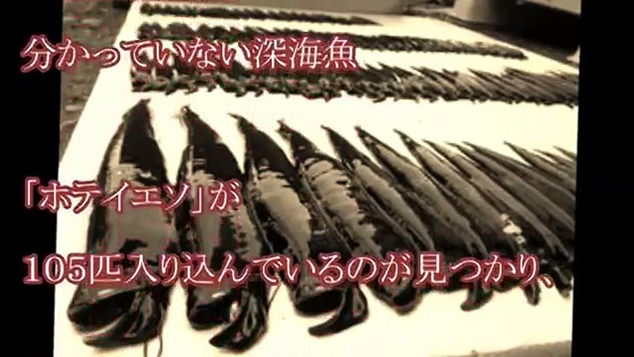 室戸岬沖】ゲロキモ深海魚ホテイエソ捕獲量がヤバイ！地震の前兆と関係か？
