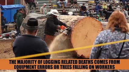 The 10 Most Dangerous Jobs In The World