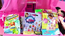 Barbie Motorhome with BLIND BAGS Shopkins Frozen LPS MLP Doc McStuffins Disney Princess Mu