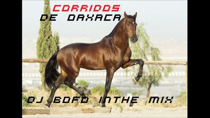 CORRIDOS DE OAXACA DJ BOFO IN THE MIX