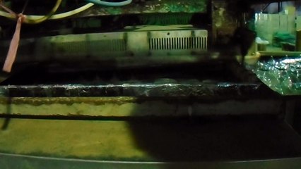 Sản xuất khuôn mẫu nhựa chính xác tấm lắng lamella