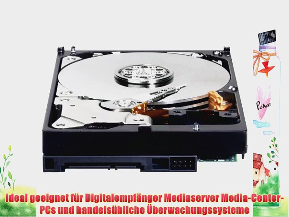 Western Digital WD3200AAKX Blue 320GB interne Festplatte (89 cm (35 Zoll) 7200rpm SATA 6 Gb/s