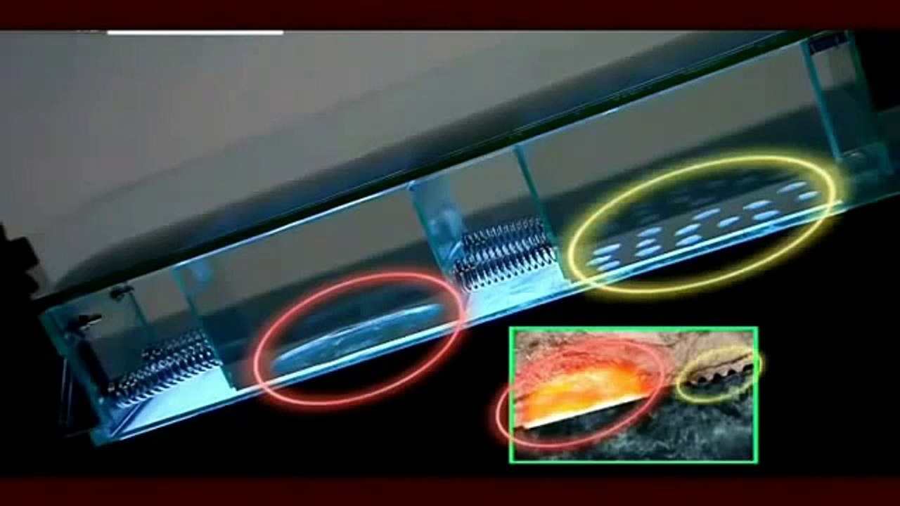 JAPAN'S MEGA EARTHQUAKE - Discovery/History/Science (documentary)