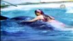 #1 Mujer Atacada por Orca de 5000 Kg - Los Temerarios Más Tontos del Mundo