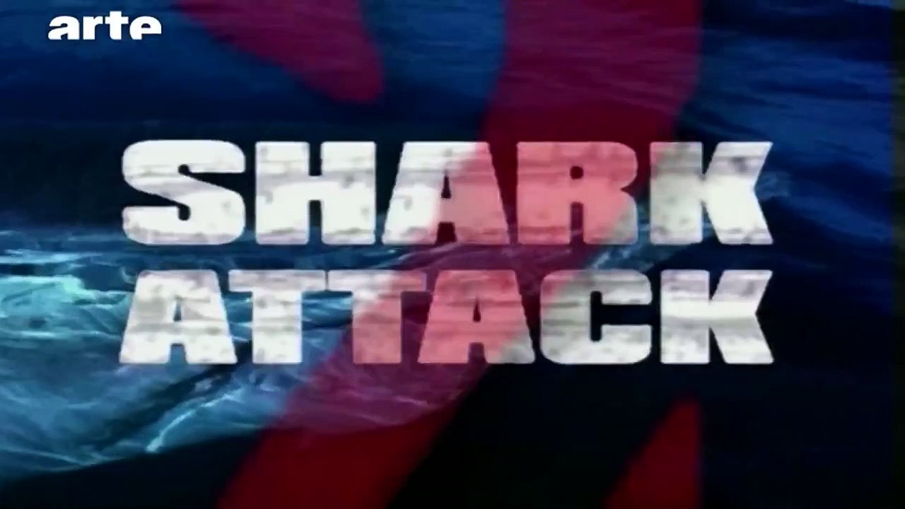 Les Pires films de requins - Blow up - ARTE