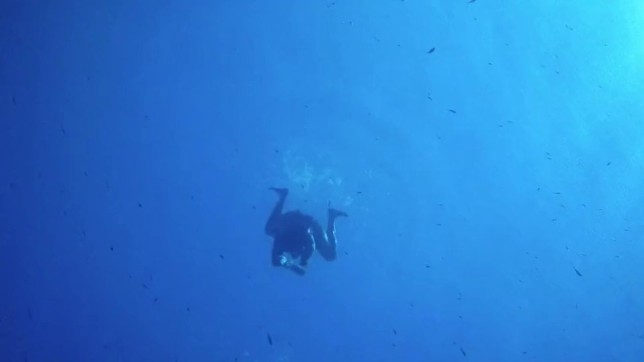 PLONGÉE À MARETTIMO - APNÉE