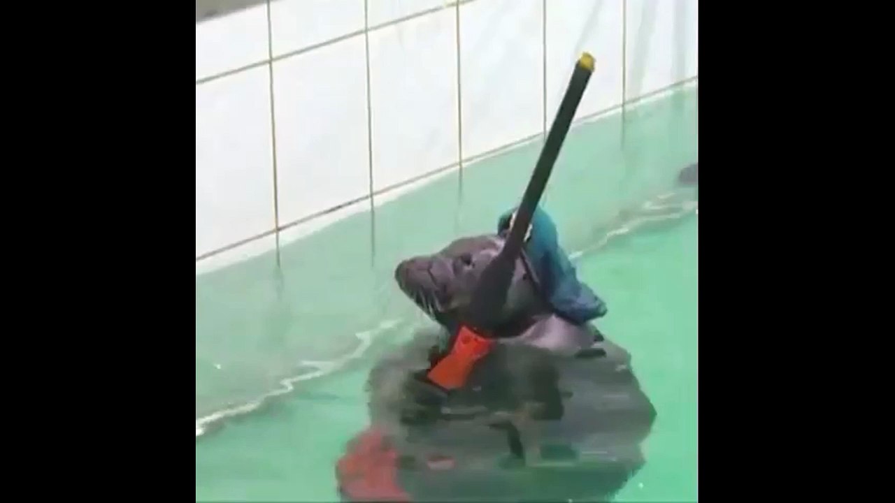 vcarthoe2.0vcarthoe2.0vcarthoe2.0vcarthoe2.0vcarthoe2.0vcarthoe2.0vcarthoe2.0vcarthoe2.0vcarthoe2.0vcarthoe2.0vcarthoe2.