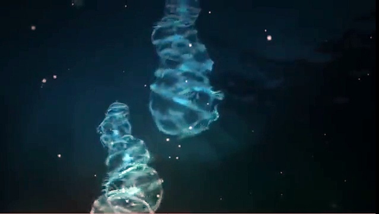 Plankton Parade