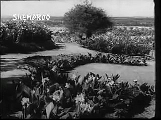 RESHMI RUMAL (1961) - Aankh Mein Shokhi | Lab Pe Tabassum | Dil Mein Shararat | Tauba Tauba