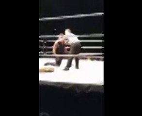 Insane Fan Attacks Roman Reigns WWE Live Event