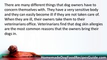 Dog Food Recipes for Dogs with Skin Allergies