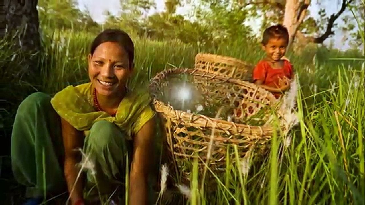 Hariyo Ban Program, landscape and highlights