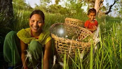 Hariyo Ban Program, landscape and highlights