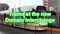 Trams at the new Domain Interchange - Melbourne's trams
