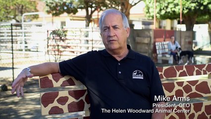 Blue Buffalo Home 4 The Holidays 2014