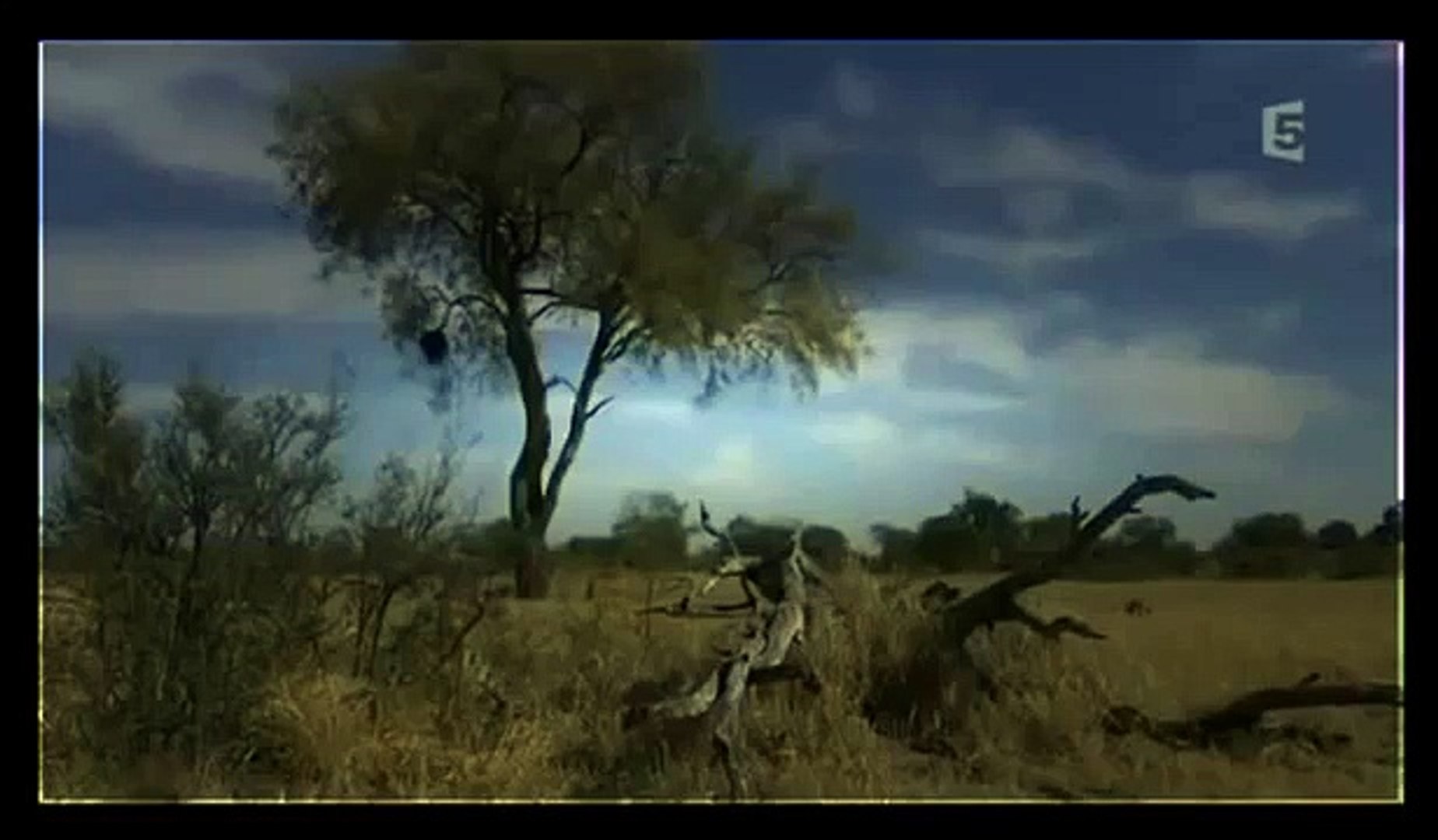 ⁣Animal Planet 2015   Discovery Channel   Wildlife Animals   reo deer Documentary