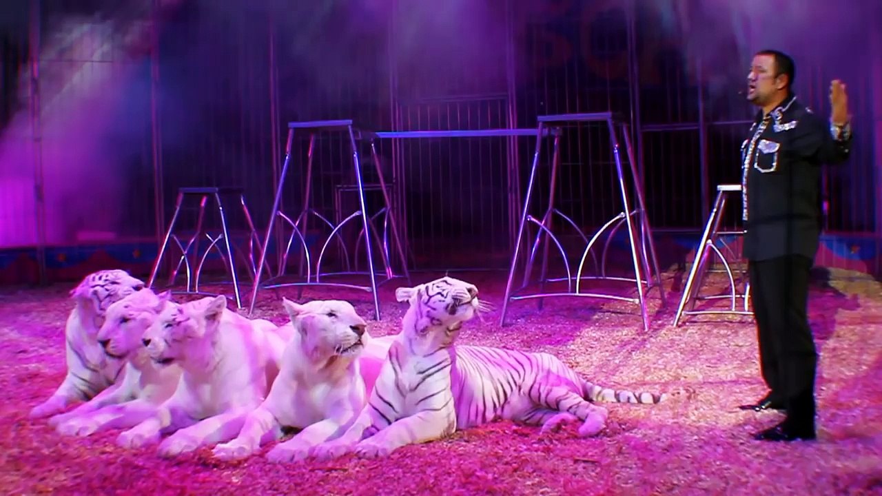 CIRCO HERMANOS GASCA 2012