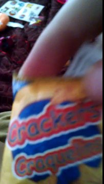 American Girl doll travel set