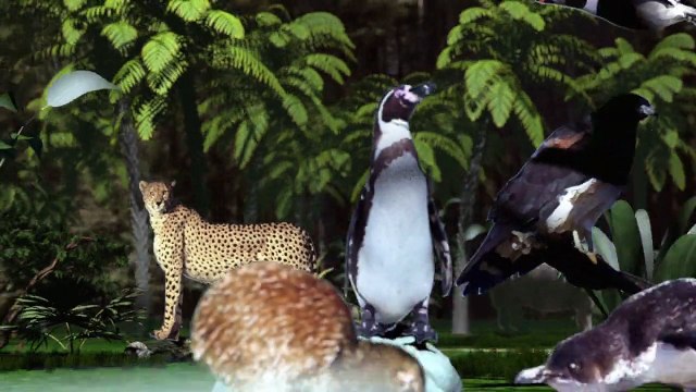 Les espèces menacées