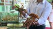Ocean threat from Hong Kong's taste for seafood