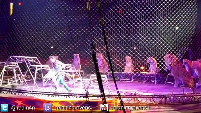 Lions and Tigers! _ Chicago Ringling Brothers Circus
