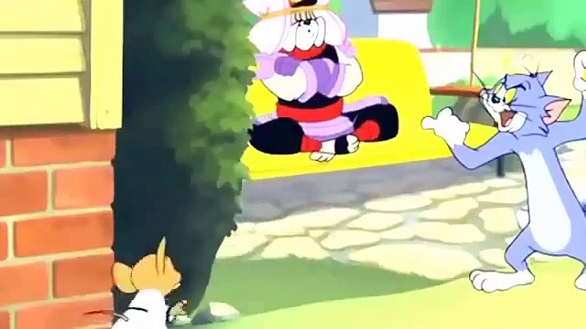 Tom and Jerry Cartoon Karate Guard - video Dailymotion