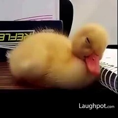 "..This is me everytime I'm in a meeting at work - GVP.."