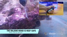 Majano Wand Aiptasia & Majano Anemone Eliminator Product Demo