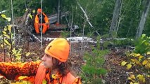 Moose hunting 2014 / Ontario – Canada