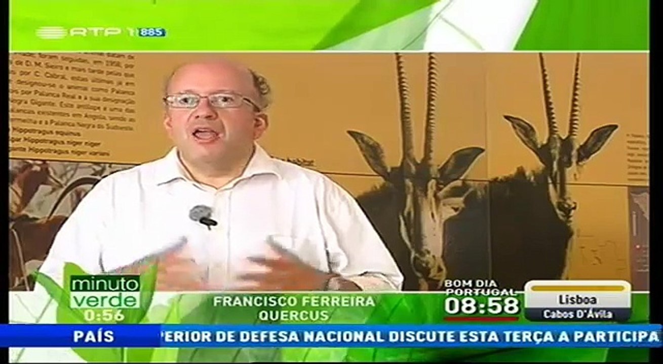 Palanca Negra: "Minuto Verde"
