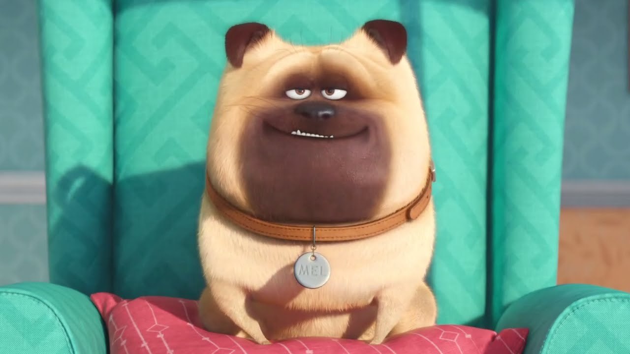 The Secret Life of Pets Official Teaser Trailer #1 (2016) - Jenny Slate, Kevin Hart Movie HD