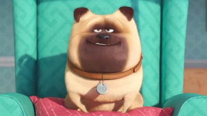 The Secret Life of Pets Official Teaser Trailer #1 (2016) - Jenny Slate, Kevin Hart Movie HD