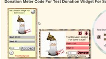 Fundraising Donation Widget Functionality Introduction - Original FundRaising Widget