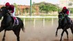 Libye: des courses de chevaux pour oublier le conflit