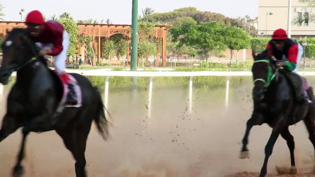 Libye: des courses de chevaux pour oublier le conflit