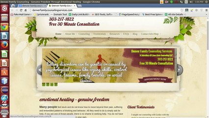 denver family counseling services