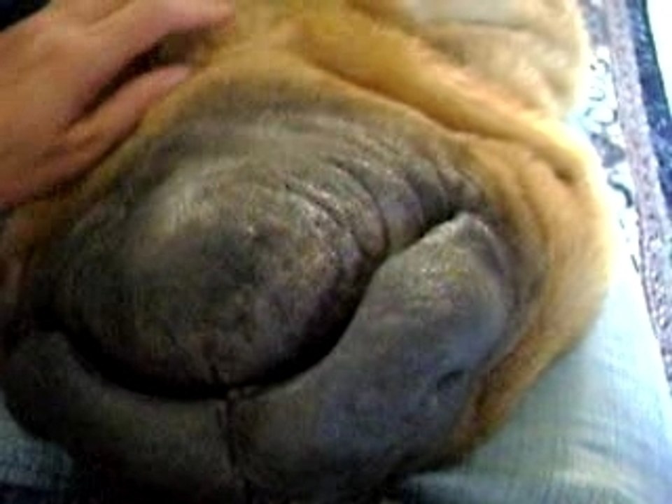 Mumbai, plus loque tu meurs!