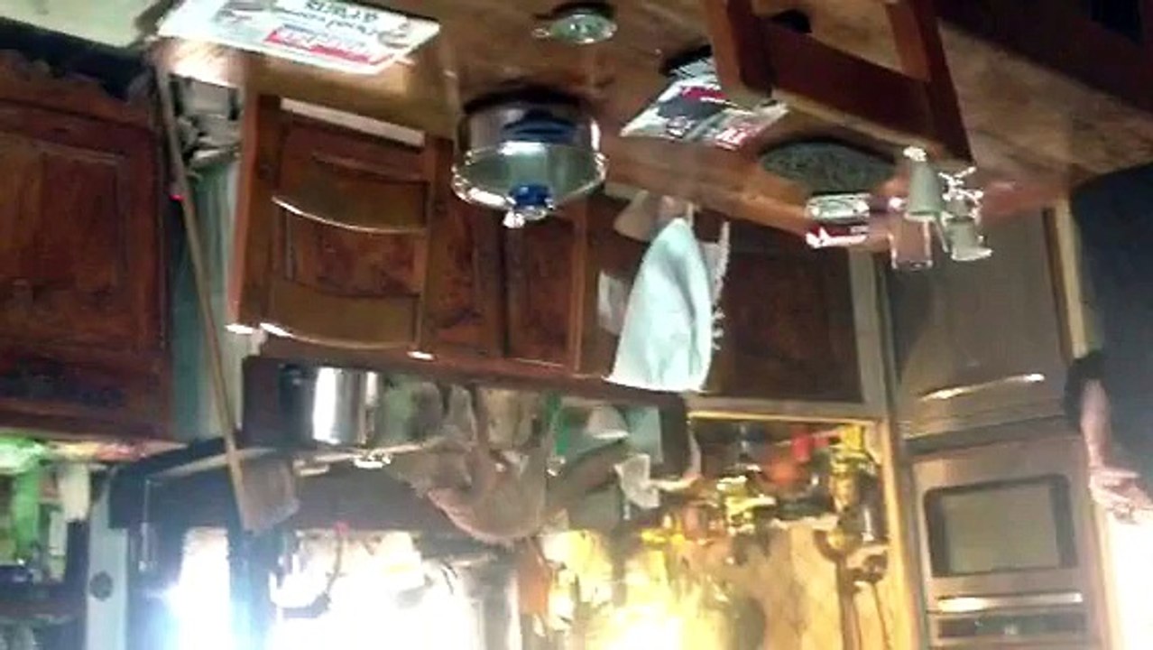 Notre fifille qui a ses chaleurs (désole elle est à l'envers)