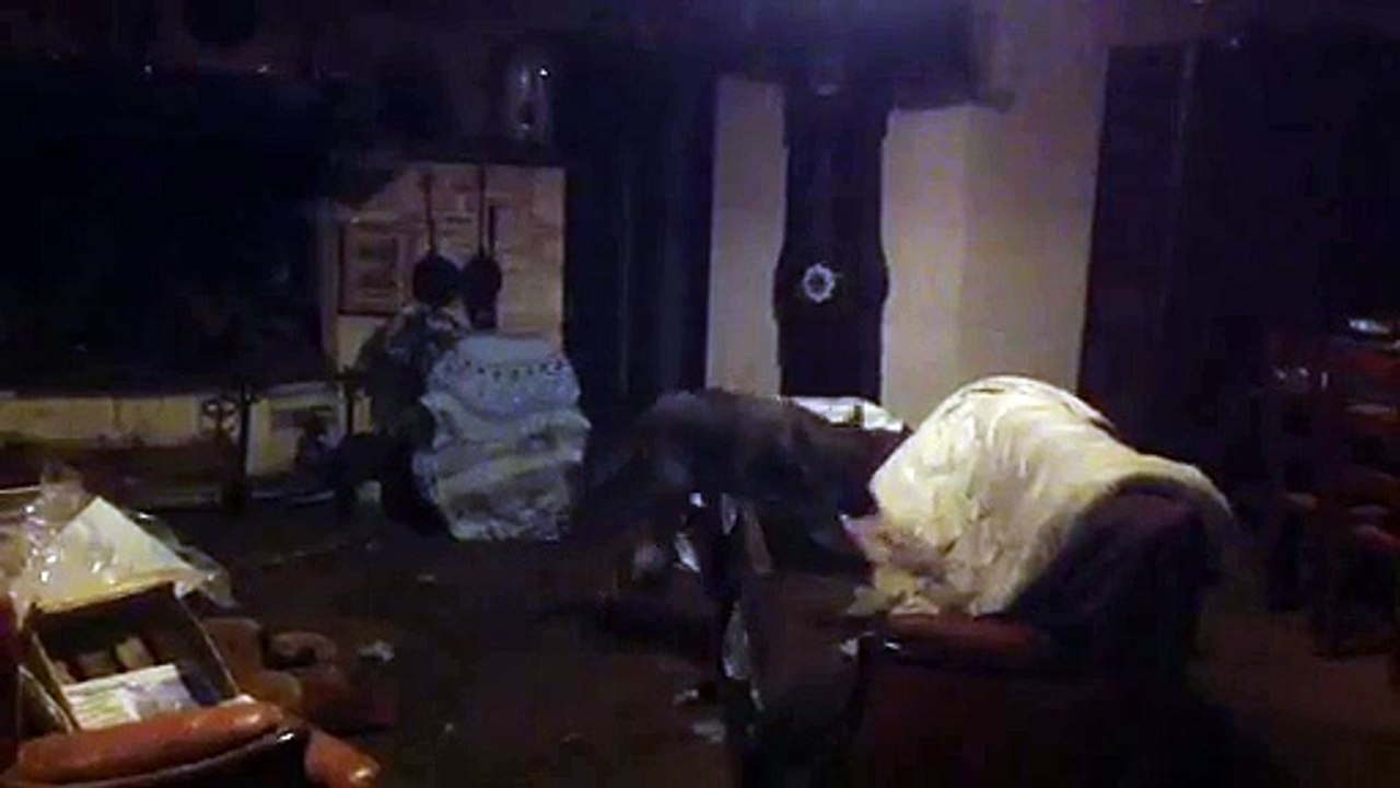 Notre salon avec notre fifille