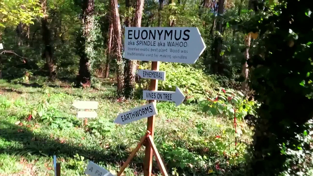 Signs, Signs, Signs!