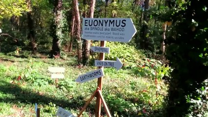 Signs, Signs, Signs!