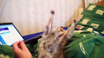 L'amour! L'amour! ❤️