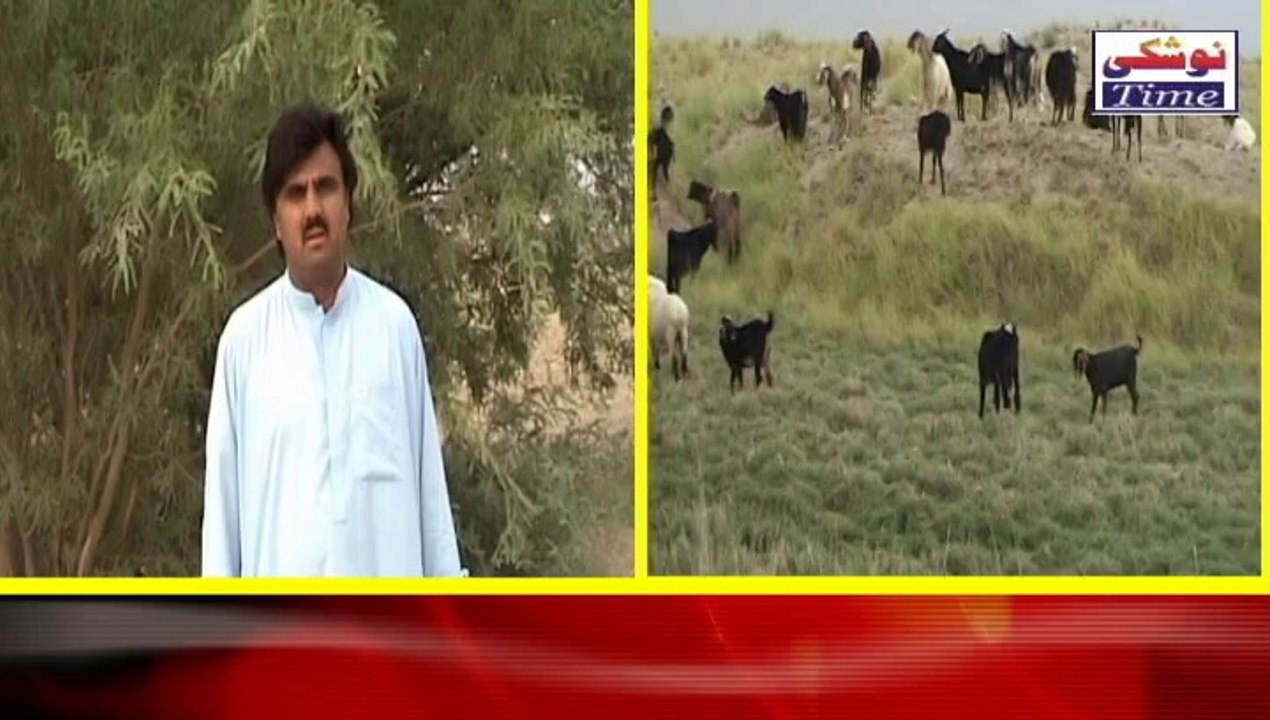 Daily motion video batto
