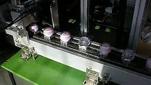 Automatic Screen Printer for Cosmetic Bottles