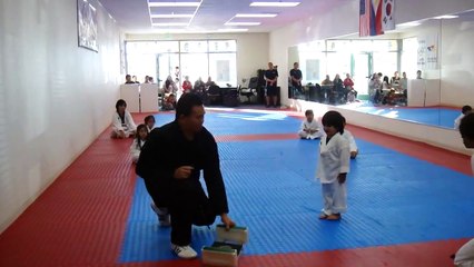 Little Boy Trying To Break Board In Taekwondo